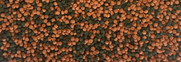 Dajana Cichlid pellets, krmivo (granule) pro ryby 250 ml, 2 mm